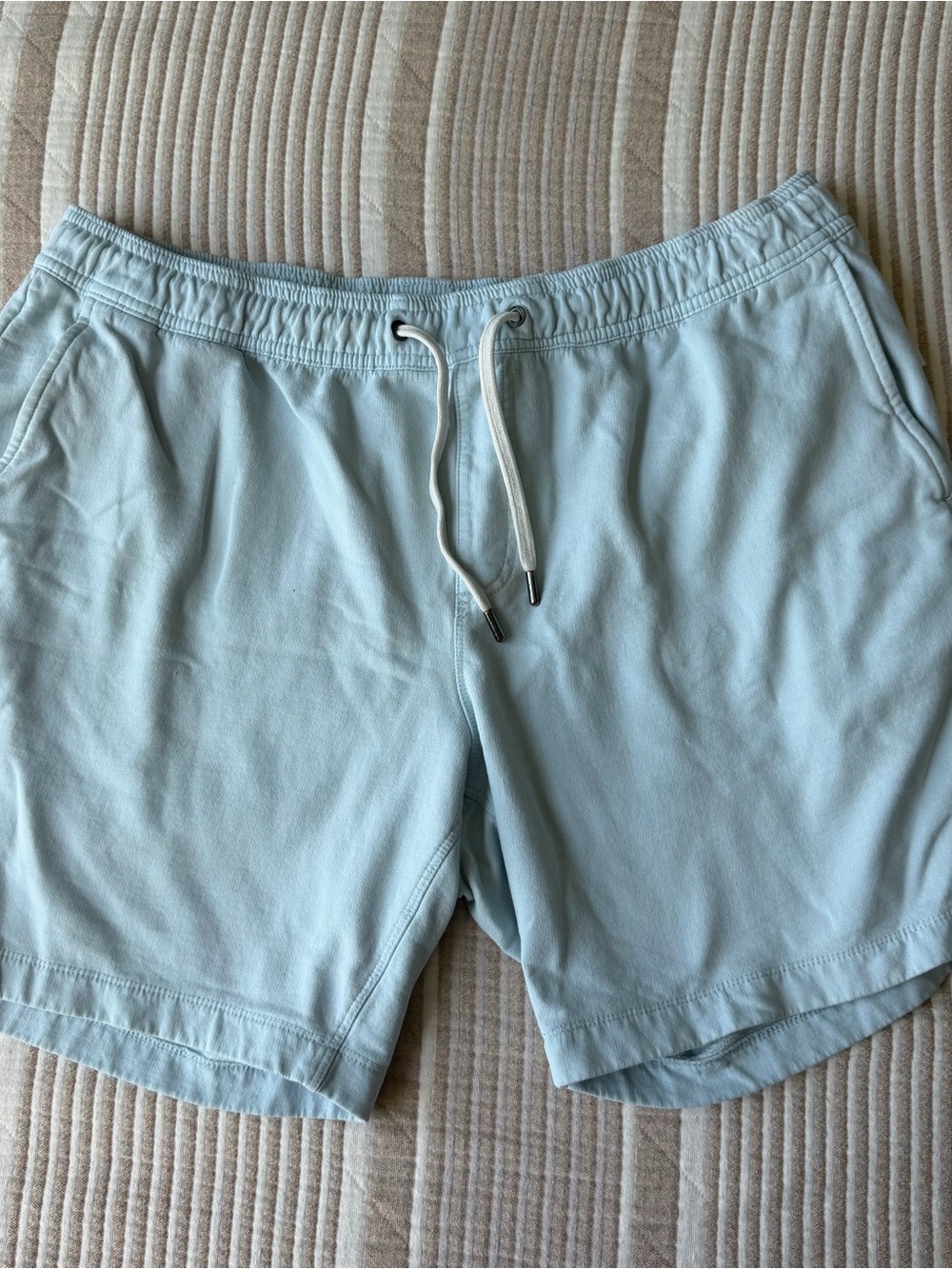 Onia Pale Blue Swim Hybrid Shorts
